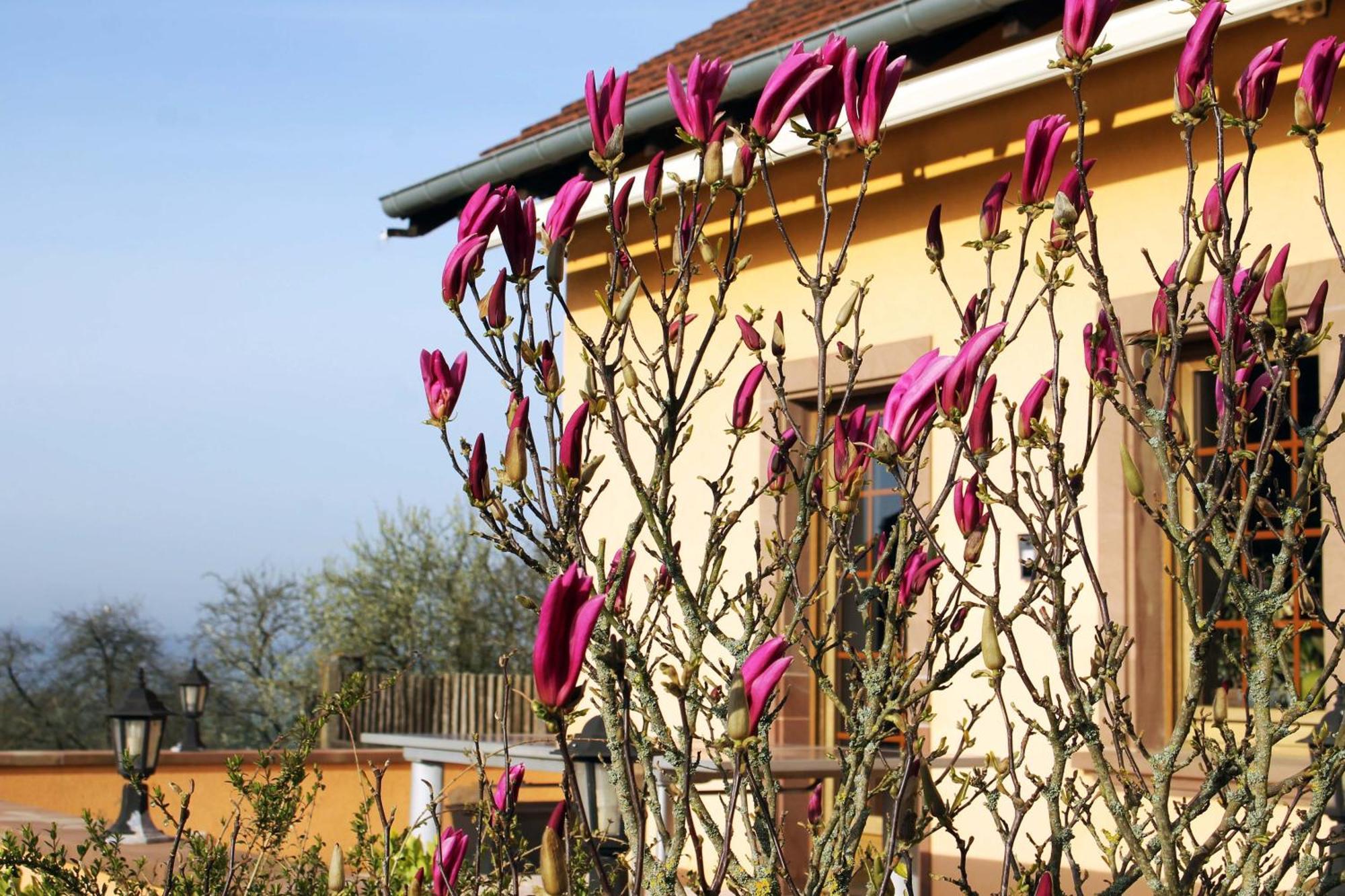 Maison Villabella Butten Dış mekan fotoğraf